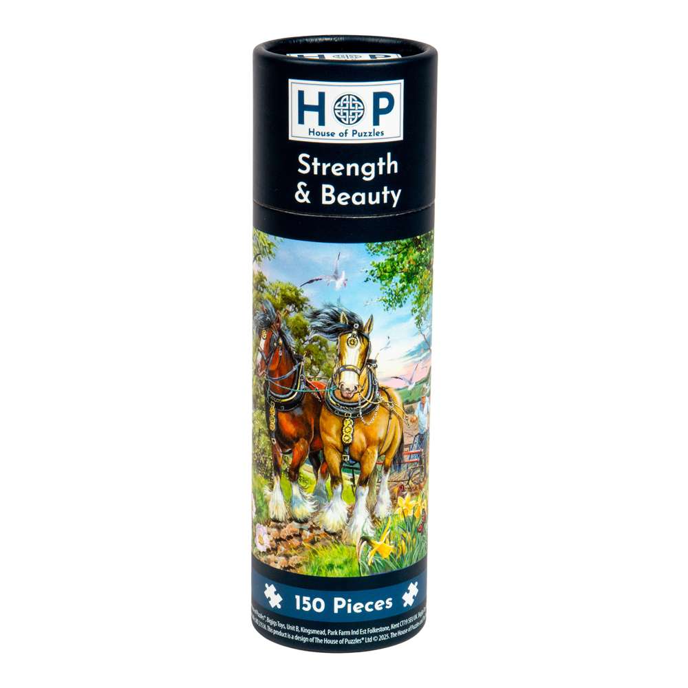 Strength & Beauty Puzzle Tube - 150 Piece (6)