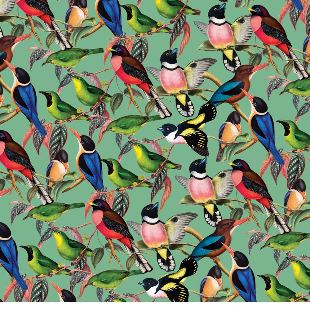 ZSL Brilliant Birds 1000 Piece Puzzle