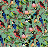 ZSL Brilliant Birds 1000 Piece Puzzle