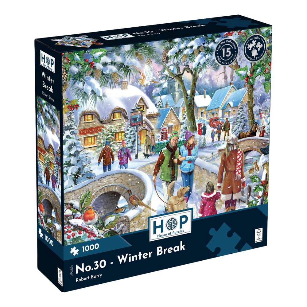 No.30 Winter Break Find The Difference 1000 Piece Puzzle