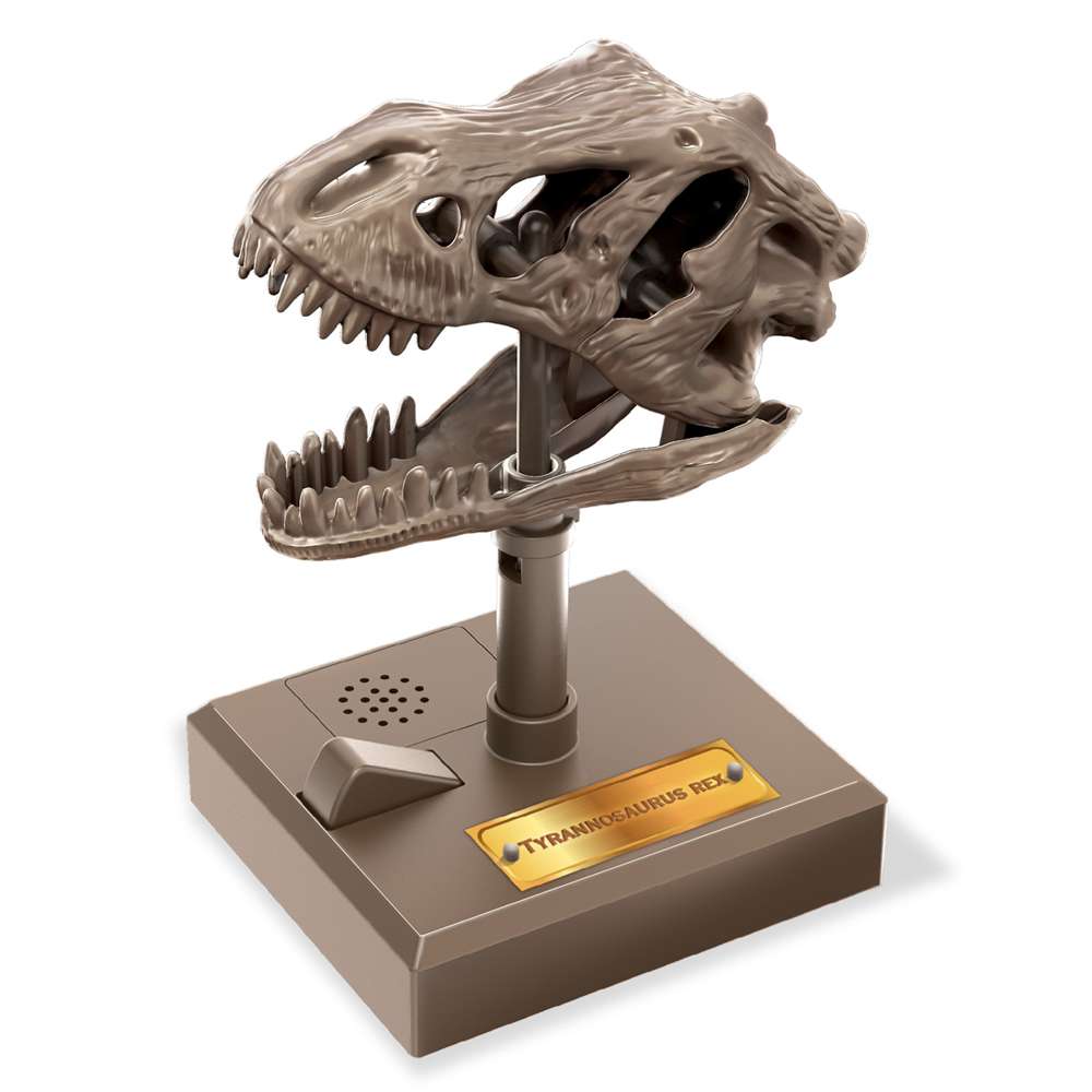 KidzLabs - Roaring T-Rex Skull