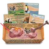 Kidzlabs - Wildlife Animal Digging Kit
