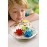 Crystal Growing - Outer Space Crystal Terrarium