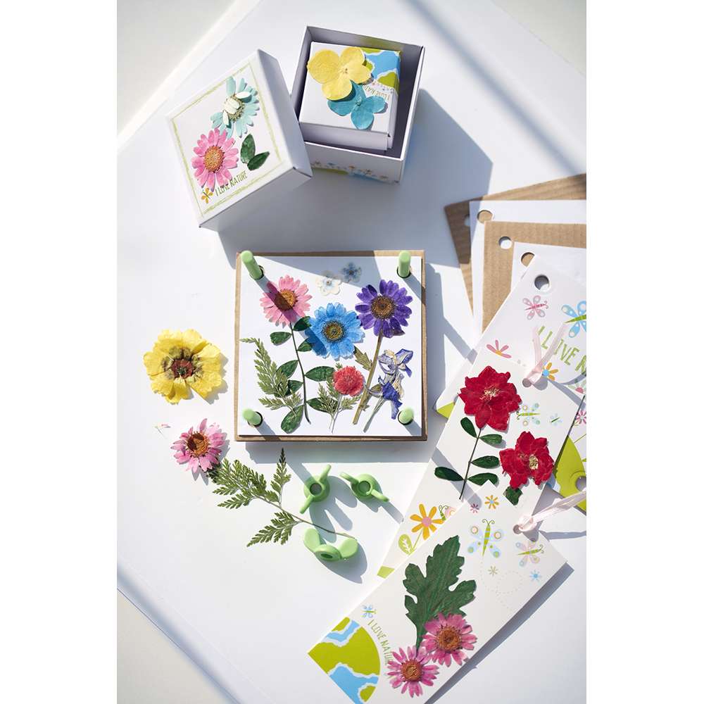 Green Creativity - Pressed Flower Art