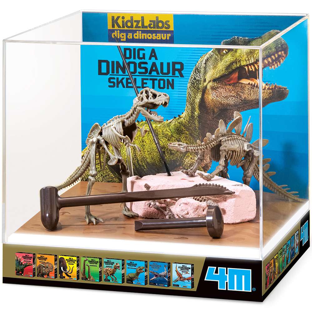 Demo Display/Dig a Dinosaur Skeleton