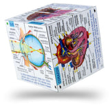 Human Body Systems and Statistics Cubebook