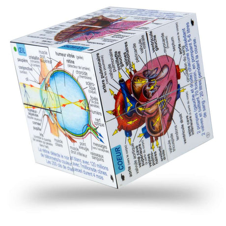 Human Body Systems and Statistics Cubebook