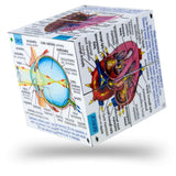 Human Body Systems and Statistics Cubebook