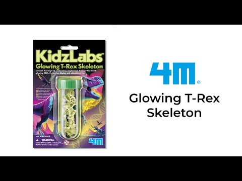 Kidzlabs - Glowing T-Rex Skeleton
