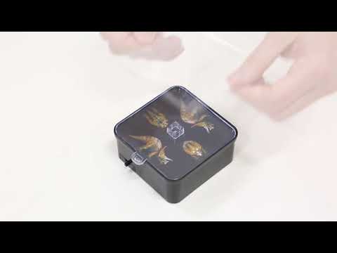 KidzLabs - Hologram Projector