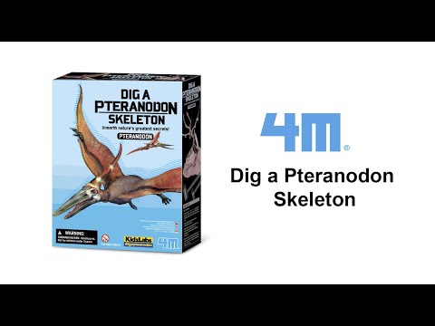 KidzLabs - Dig a Pteranodon Skeleton